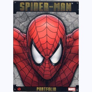 Spider-Man (Art), Steel Gallery