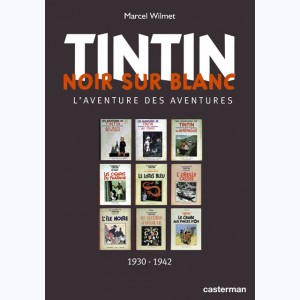 Autour de Tintin, Tintin noir sur blanc