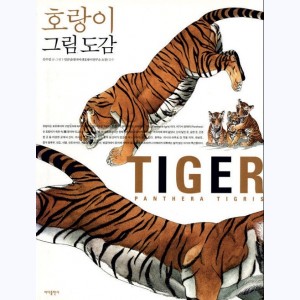 Tigre, Tiger - Panthera Tigris