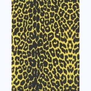 La peau du léopard : 