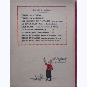 Les aventures de Tintin N&B : Tome 6, L'Oreille Cassée : A15
