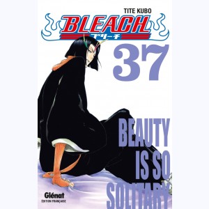 Bleach : Tome 37, Beauty is so Solitary