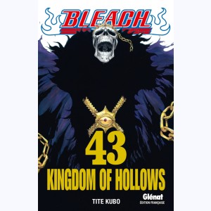 Bleach : Tome 43, Kingdom of Hollows
