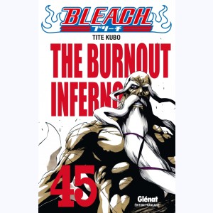 Bleach : Tome 45, The Burnout Inferno