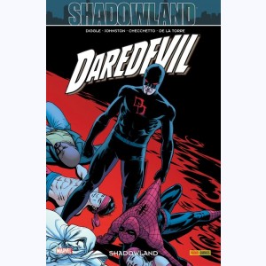 Daredevil : Tome 23, Shadowland