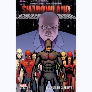 Shadowland, La chute de Daredevil