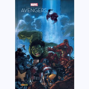 Avengers, la séparation : 