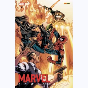 Marvel Comics : Tome 3 : 