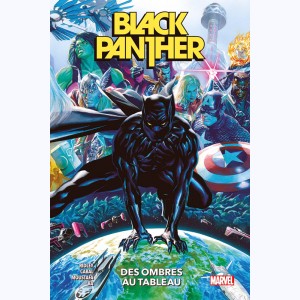 Black Panther, Des ombres au tableau