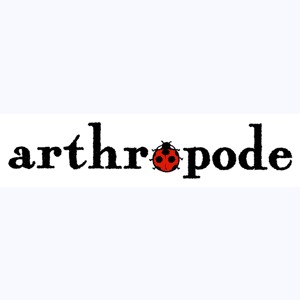 Collection : Arthropode