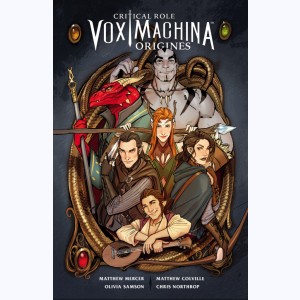 Série : Critical Role Vox Machina - Origines