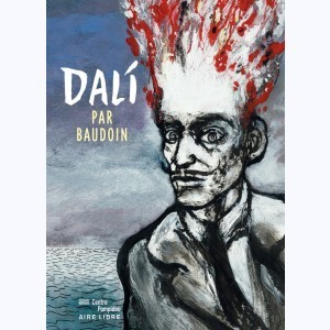 Dalí par Baudoin