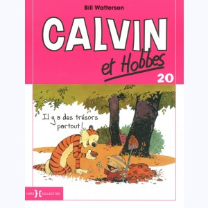 Calvin et Hobbes : Tome 20, Il y a des trésors partout ! : 