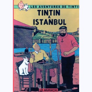Tintin (Pastiche, Parodies, Pirates), Tintin à Istanbul : 