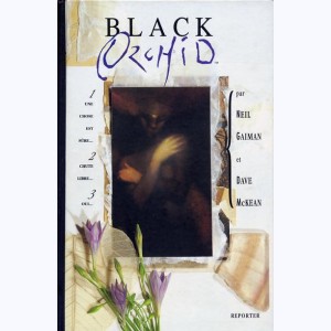 Orchidée noire, Black Orchid : 