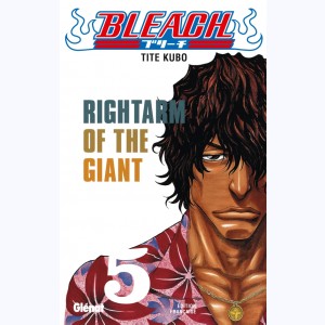Bleach : Tome 5, Rightarm of the Giant