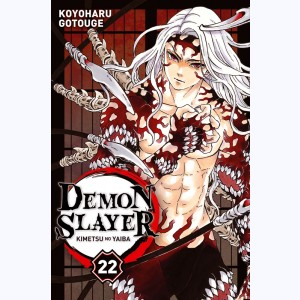 Demon Slayer : Tome 22