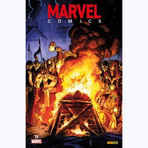 Marvel Comics : Tome 11 : 