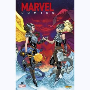 Marvel Comics : Tome 12