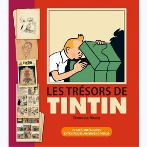 Série : Autour de Tintin